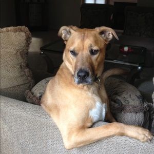 Meet your Posher, Terry